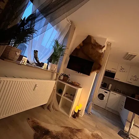 Wikinger Felicia * オストフィルダーン