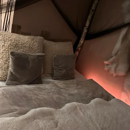 アパート Wikinger Felicia *