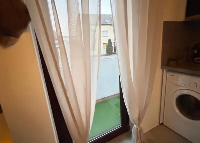 Wikinger Felicia Остфильдерн