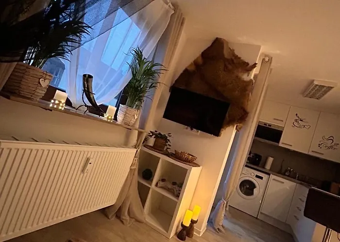 Wikinger Felicia * Остфильдерн