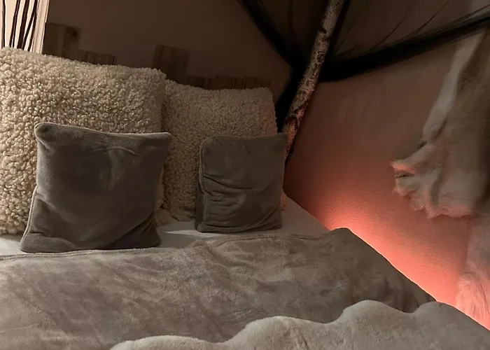 Апартаменты Wikinger Felicia *